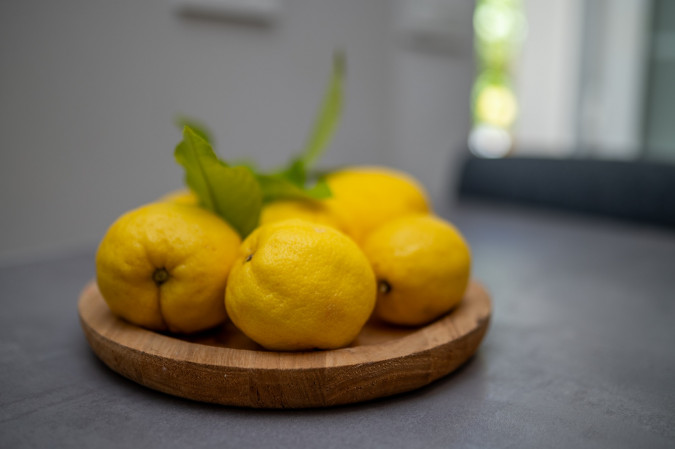 Apartment Green Oasis, House Rosa Apartments by the sea, Mali Lo&scaron;inj, Croatia Mali Lo&scaron;inj